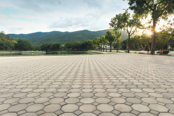 Best Driveway Paver Repair  in Skippers Corner, NC